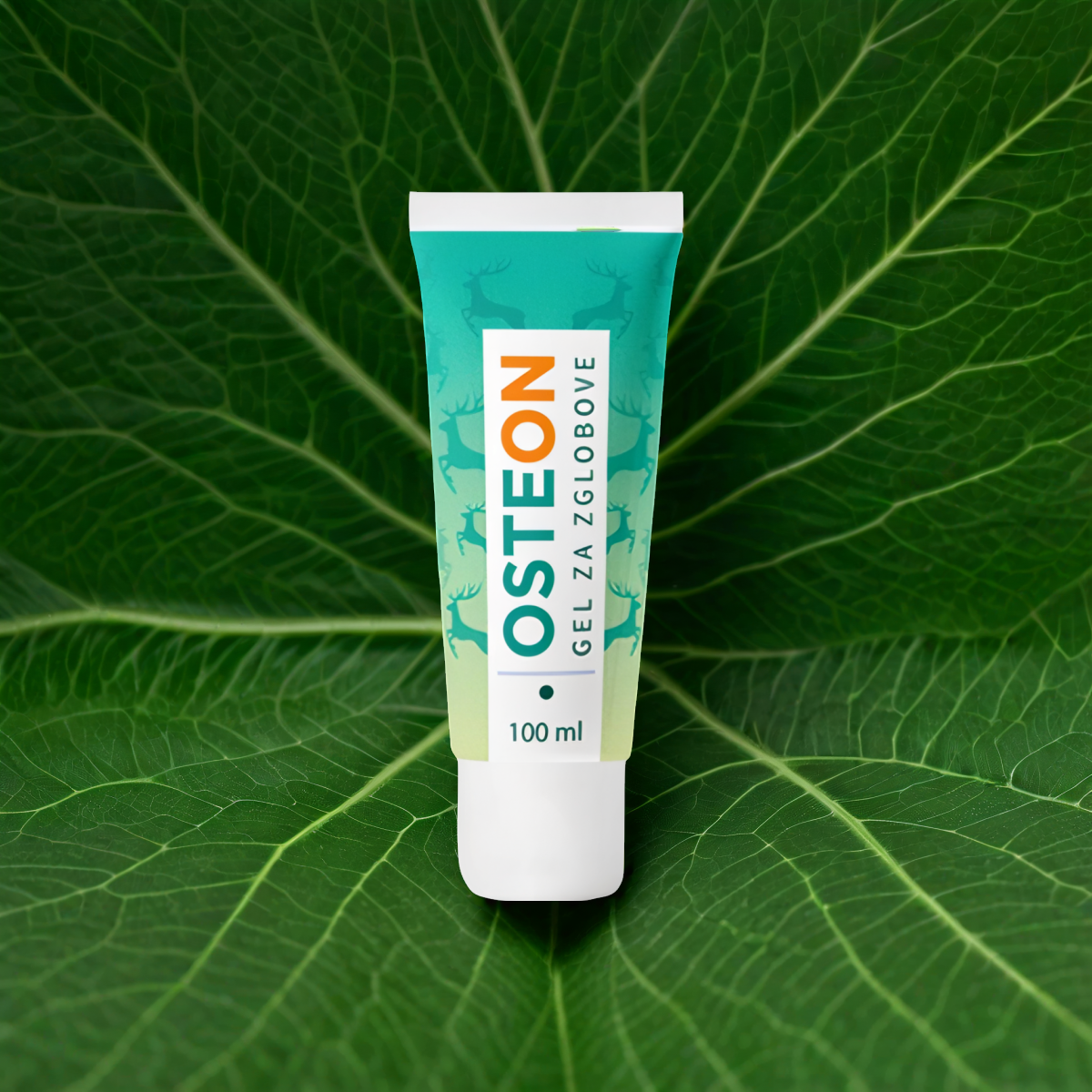 Osteon