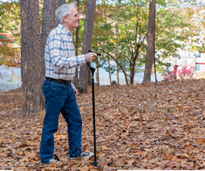 Wellpro Walking Stick a 1.222 CZK