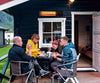Radiant Heater a 99,99€